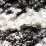 black, cream, light gray, gray, beige