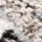 black, cream, light gray, gray, beige