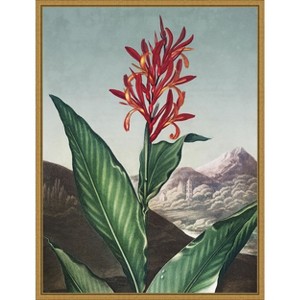 Amanti Art Temple of Flora I by Dr. robert j. Thornton Framed Canvas Wall Art - 1 of 4