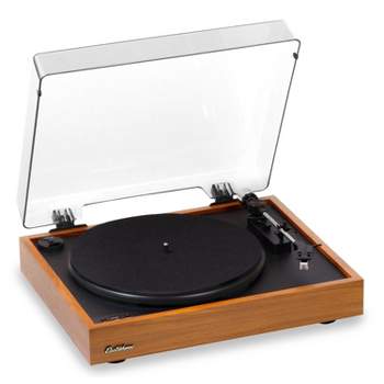 Vinyl Diamond Turntable Cartridge Needle Stylus for LP Record Player  Photograph