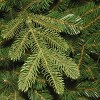 6.5' Prelit Norwegian Spruce Artificial Christmas Tree Clear Lights - National Tree Company - image 3 of 4