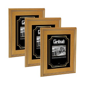 Cardinali Plein Air, Gold 8x10" Picture Frame with Acrylic Glazing & Cardboard Backing, for Photography or Canvas Frame, 3 Wide Moulding, 1/2 Rabbet - 1 of 4