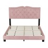 Modern Velvet Upholstered Platform Bed with Tufted Headboard,Sturdy Wood Frame,Queen Size-Maison Boucle - 4 of 4