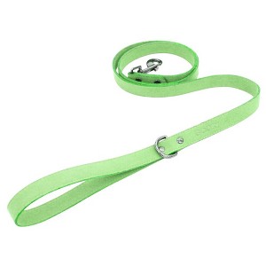 Gooby Active X Leash, Green, 4' - 1 of 1