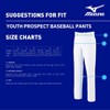 Mizuno Youth Prospect Baseball Pant - 3 of 3