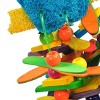 A&E Cage Company Happy Beaks Toucan Sam Bird Interactive Toy - 2 of 2