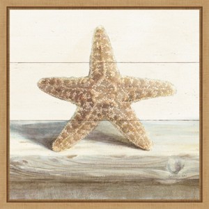 Amanti Art Driftwood Shell III by Danhui Nai Canvas Wall Art Print Framed 16 x 16-in. - 1 of 4