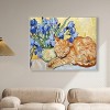 Art Remedy Blissful Nap Rustic Chic Farmhouse Wall Art Framed - 2 of 4