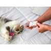 Quirky Kitty Flingin' Purr Tarts Cat Plush Toy - Gray - 3 of 4