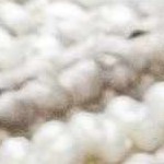 beige, medium brown, gray