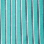 mint stripe