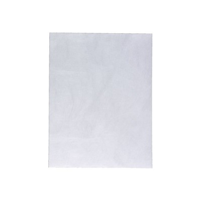 MyOfficeInnovations Tyvek EasyClose Catalog Envelopes 10" x 13" Gray 100/Box (17015) 381946