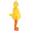 HalloweenCostumes.com Adult Plus Size Sesame Street Big Bird Halloween Costume - 2 of 4