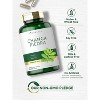 Carlyle Chanca Piedra 500mg | 200 Capsules - 4 of 4