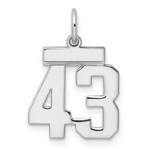 Black Bow Jewelry Sterling Silver, Athletic Collection, Small Polished Number 43 Pendant - 1 of 4