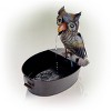 23" Iron Owl Fountain Brown - Alpine Corporation: Electric Sculptural Water Feature for Outdoor Use, 5 Gallon Capacity - 4 of 4