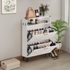 Acekool Shoe Cabinet with 2 Flip Drawers and Open Storage, Entryway Shoe Organizer with Hooks and Metal Legs - 2 of 4