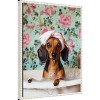 Amanti Art Bath Time Dachshund by Mowzu  Framed Canvas Wall Art - 2 of 4