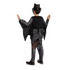 Kids Classic How to Train Your Dragon™ Live Action Toothless Costume - Extra Small 3T-4T - 2 of 2