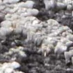 black, ivory, medium gray, tan