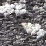 black, ivory, medium gray, tan