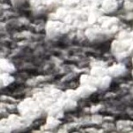 black, ivory, medium gray, tan