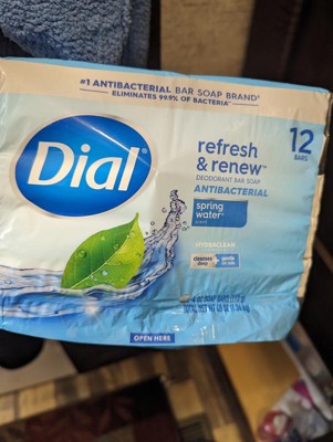 Dial antibacterial soap discount target