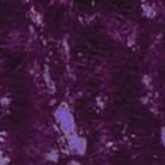 421 Viral Violet