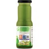 Aam Panna - 6.7 fl oz (200 ml) Pack of 6 - Rani Brand Authentic Indian Products - 4 of 4