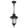 Livex Lighting Oxford 1 - Light Pendant in  Textured Black - 4 of 4