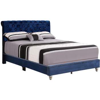Passion Furniture Maxx Tufted Upholstered Queen Panel Bed