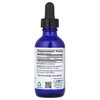Eidon Ionic Minerals Silica, Liquid Concentrate, 2 oz (60 ml) (375 mg per Serving) - 2 of 2