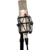 Mojave Audio MA-200SN Large-Diaphragm Tube Condenser Microphone, Satin Nickel - 3 of 4