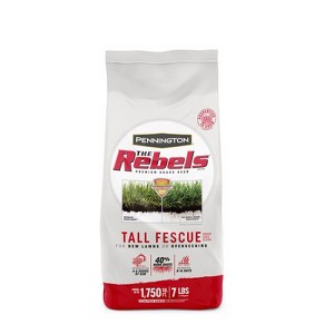 Pennington The Rebels Tall Fescue Grass Sun or Shade Grass Seed 7 lb - 1 of 1