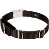 Country Brook Petz Heavyduty Nylon Martingale with Premium Buckle - 2 of 4