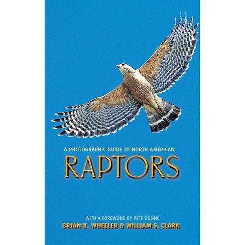 Raptors! A Guide to Minnesota's Birds of Prey - All Seasons Wild Bird Store