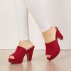 Allegra K Women's Open Toe Platform Chunky Heel Slides Sandals - 2 of 4