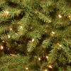 10' Prelit PowerConnect Dunhill Fir Artificial Christmas Tree Dual Color Lights - National Tree Company - image 4 of 4