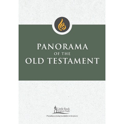 Panorama of the Old Testament - (Little Rock Scripture Study) by  Stephen J Binz (Paperback)
