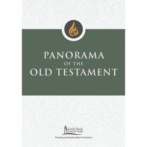 Panorama of the Old Testament - (Little Rock Scripture Study) by  Stephen J Binz (Paperback) - 1 of 1