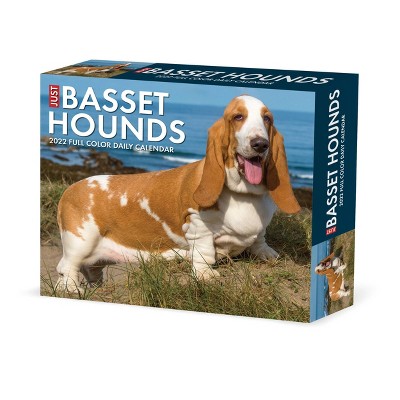 2022 Box Calendar Just Basset Hounds - Willow Creek Press