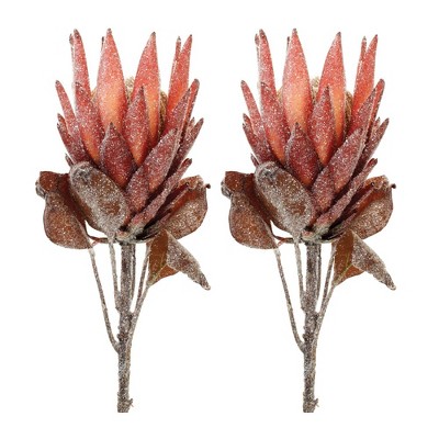 Red Protea Flower Stem (Set of 2)