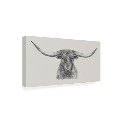 Trademark Fine Art -ethan Harper 'longhorn Bull' Canvas Art : Target