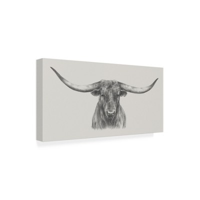 Trademark Fine Art -Ethan Harper 'Longhorn Bull' Canvas Art