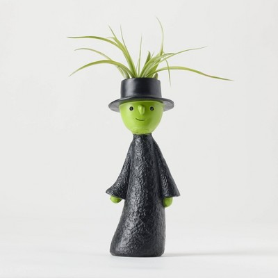 Halloween It's Giving Ghoul Witch Live Houseplant - Good Little Garden™