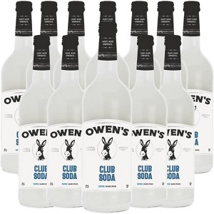Owen’s Craft Mixers | Club Soda | Handcrafted in the USA with Premium Ingredients | Vegan & Gluten-Free Soda Mocktail and Cocktail Mixer - 1 of 2