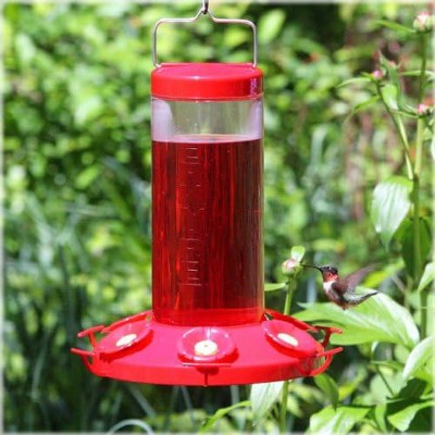 Large Clear and Red Plastic Hanging Hummingbird Feeder