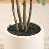 DR.Planzen 5-7FT Faux Eucalyptus Tree with Oval White Planter, Pre Potted Artificial Eucalyptus Tree for Home Decor - 4 of 4