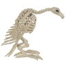 Skeleton Vulture Halloween Decoration, 10 x 17 x 5 in - 3 of 4