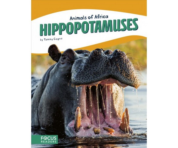 Hippopotamuses -  (Animals of Africa) by Tammy Gagne (Hardcover)